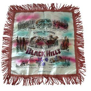 Vintage Souvenir Pillow Cover Case Black Hills Satin Fringed Kitschy Retro